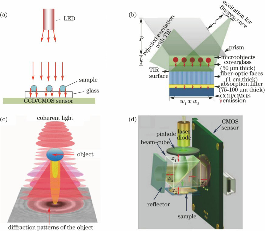 Schematic of lensless imaging technology[27-29]. (a) Shadow lensless microscopic imaging; (b) fluorescence lenslessmicroscopic imaging; (c) transmission digital holography lensless microscopic imaging; (d) reflective digital holography lensless microscopic imaging