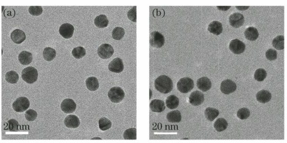TEM images. (a) Gold nanoparticles; (b) BRCA1 gold-nanoparticle-based molecular beacon