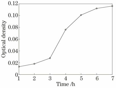 Optical density of Escherichia coli in water at 600 nm versus time
