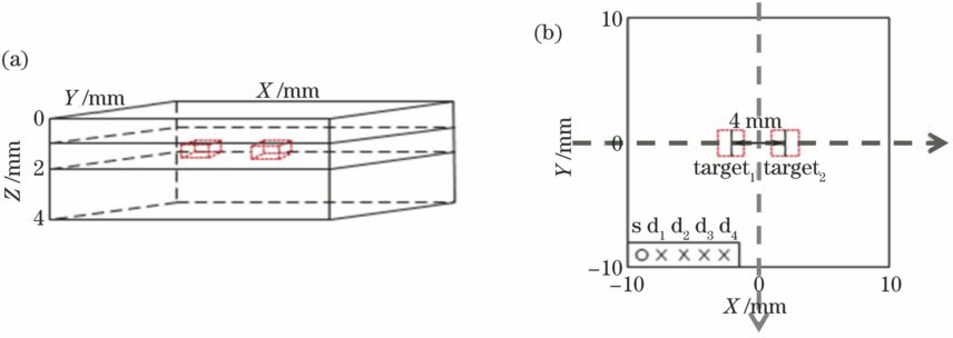 Phantom model. (a) Three-dimensional geometry; (b) source-detector configuration