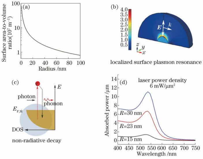 (a) Specific surface area of spherical particle as a function of radius; (b) localized surface plasmon resonance induced field enhancement effect for a gold nanosphere with the radius of 15 nm; (c) schematic of nonradiative transition for the nanoparticles absorber photons; (d) simulated results of the absorbed optical power spectra for gold nanoparticles with different radii