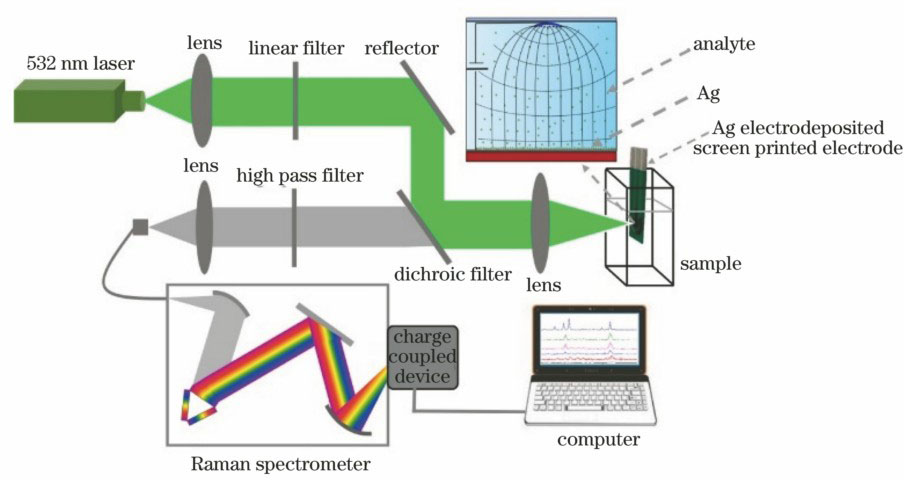 Schematic of Raman detection system