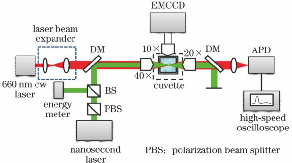Detection setup for optical breakdown induced by nanosecond laser