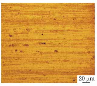 Metallographic microstructure of A7204 aluminum alloy