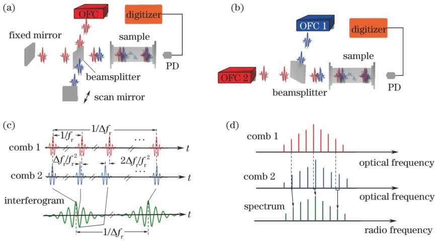 (a) Schematic for actively measuring principle of OFC-based FTS[25]; (b) schematic for DCS measuring principle[25]; (c) asynchronous optical sampling and measuring process in time domain; (d) multiheterodyne in frequency domain for measuring process of DCS