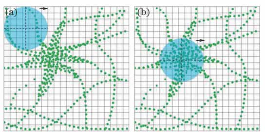 Spot scanning diagrams of objective pixel. (a) Fluorophore sparse area; (b) fluorophore dense area