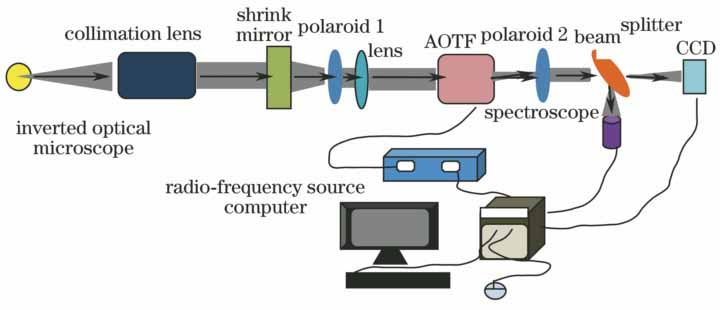 Experimental setup of the AOTF-based microscopic spectral imaging system