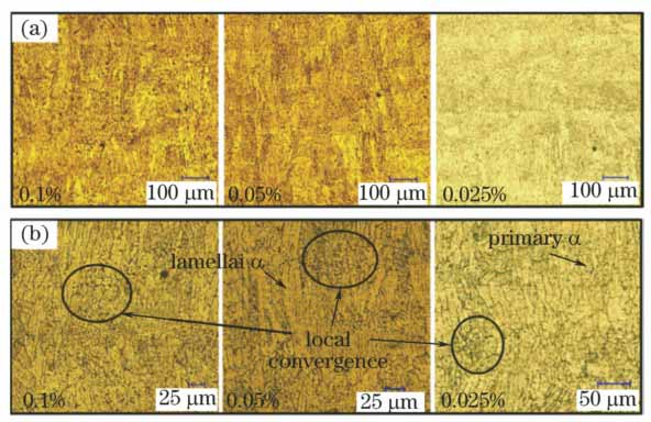 Microstructures of LCD-TC4 under different B mass fractions. (a) Magnification of 200 times; (b) magnification of 500 times
