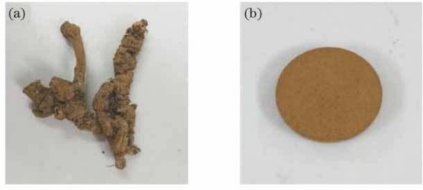 Coptis Chinensis. (a) Purchased real objects; (b) samples after preparation