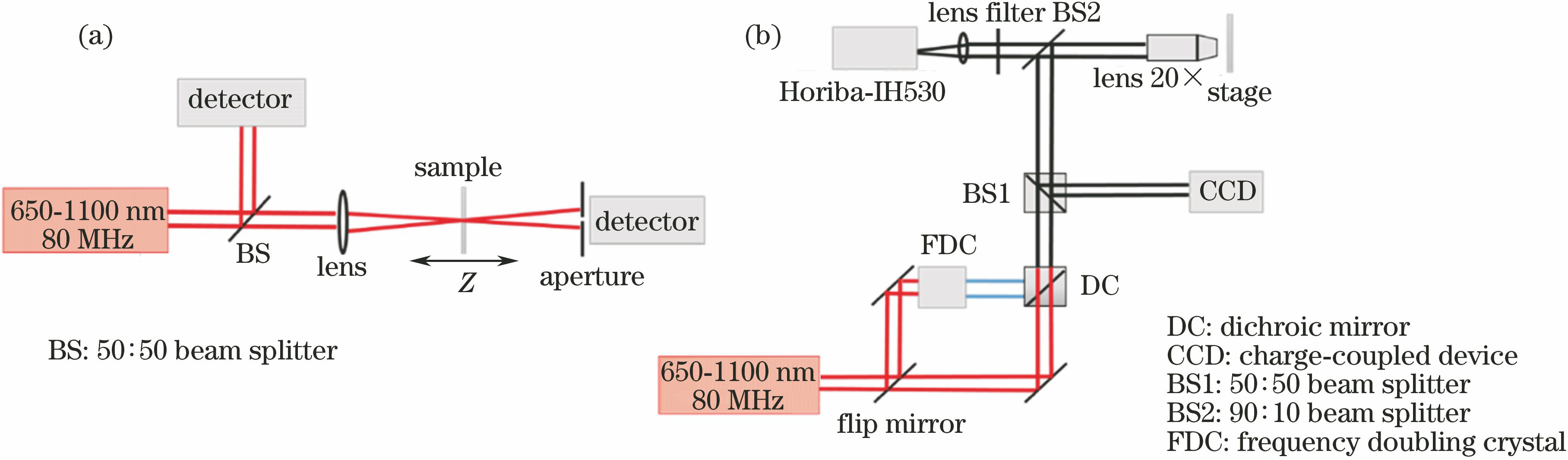 Optical paths. (a) Optical path for Z-scan; (b) optical path for detection of fluorescence spectrum