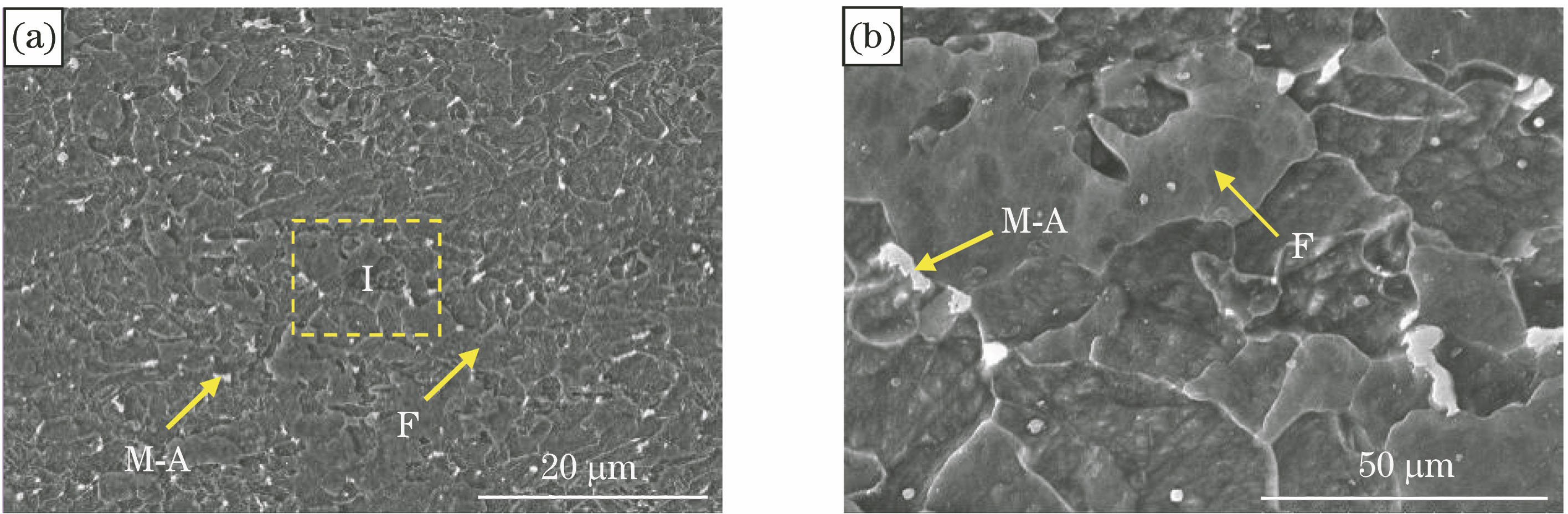 Microstructure of experimental steel. (a) SEM morphology with low magnification; (b) enlarged microstructure of I area