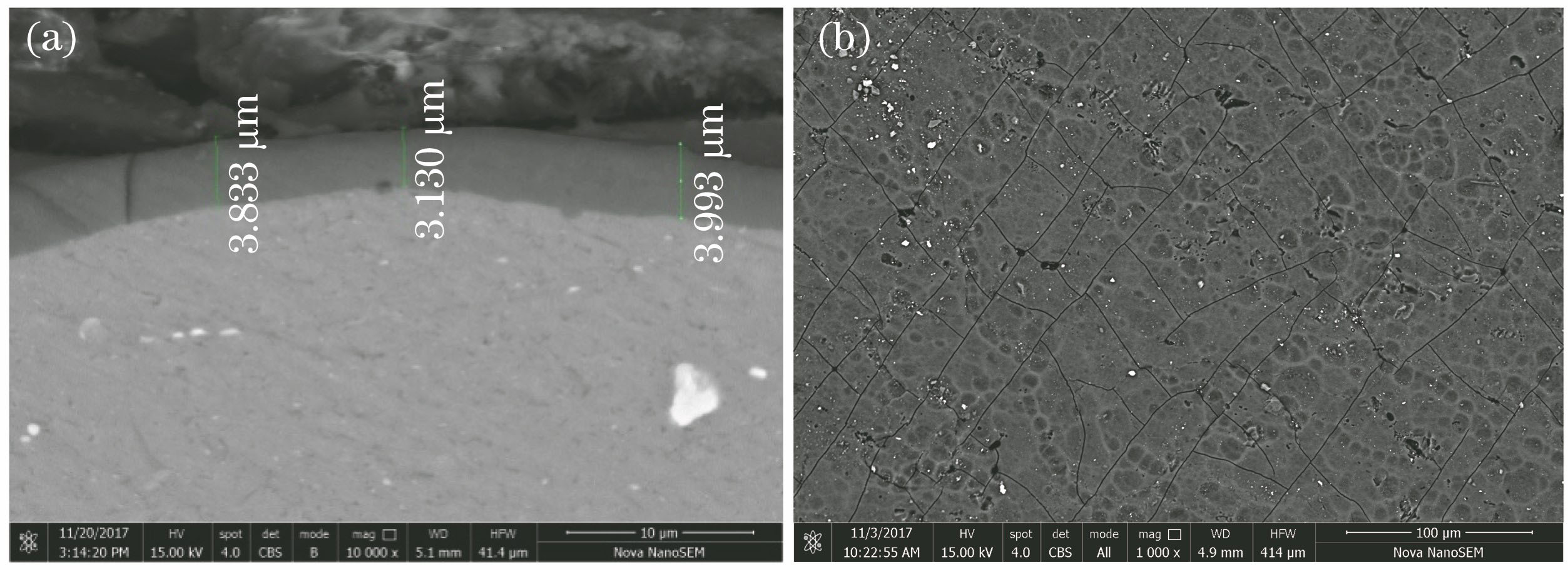 Cross-section morphology and surface morphology of 2219 aluminum alloy. (a) Cross-section morphology; (b) surface morphology