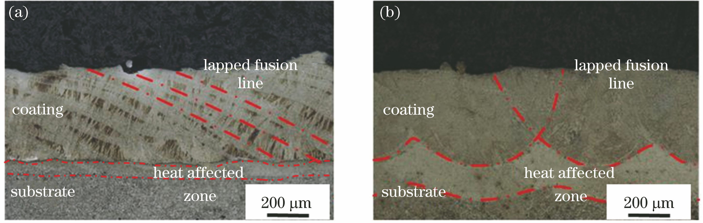 Macroscopic morphologies of single-layer stainless steel coating prepared by two methods. (a) EHLA; (b) CLA