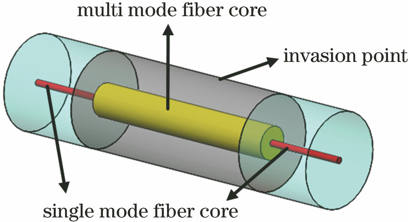 SMS fiber structural diagram