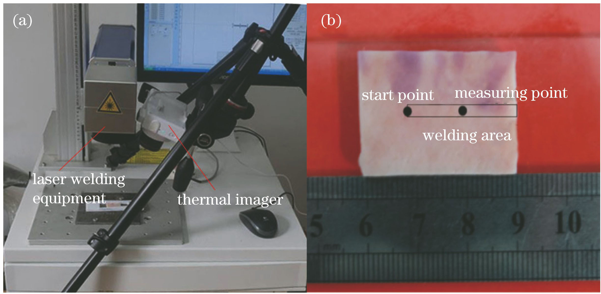 Experimental instrument and sample. (a) Laser for biological tissue welding and thermal imager; (b) skin sample in vitro and welding position