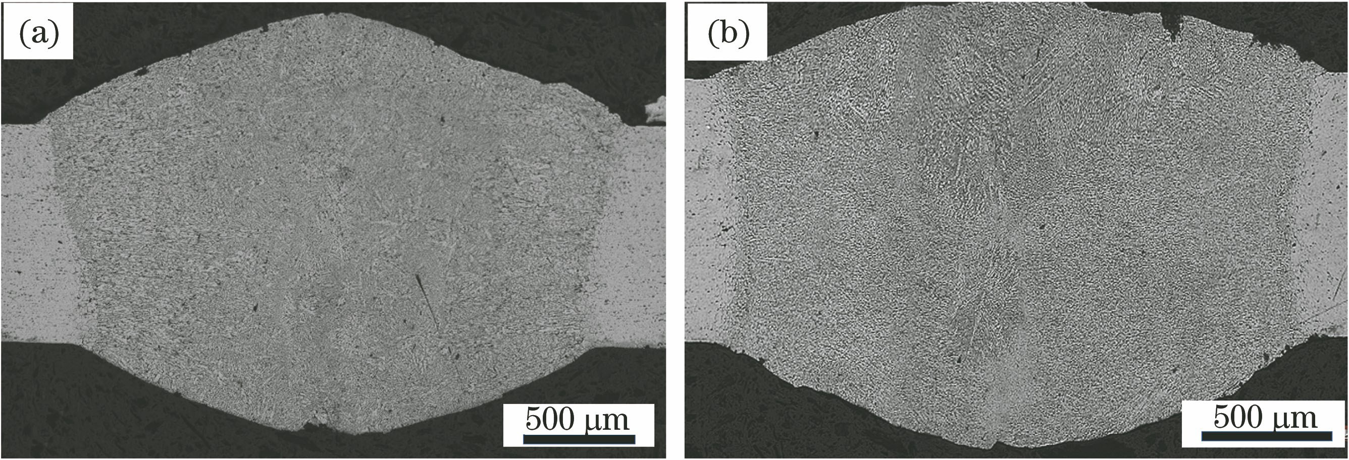 Metallographs of aluminum alloy welded joints. (a) 6016; (b) 5182