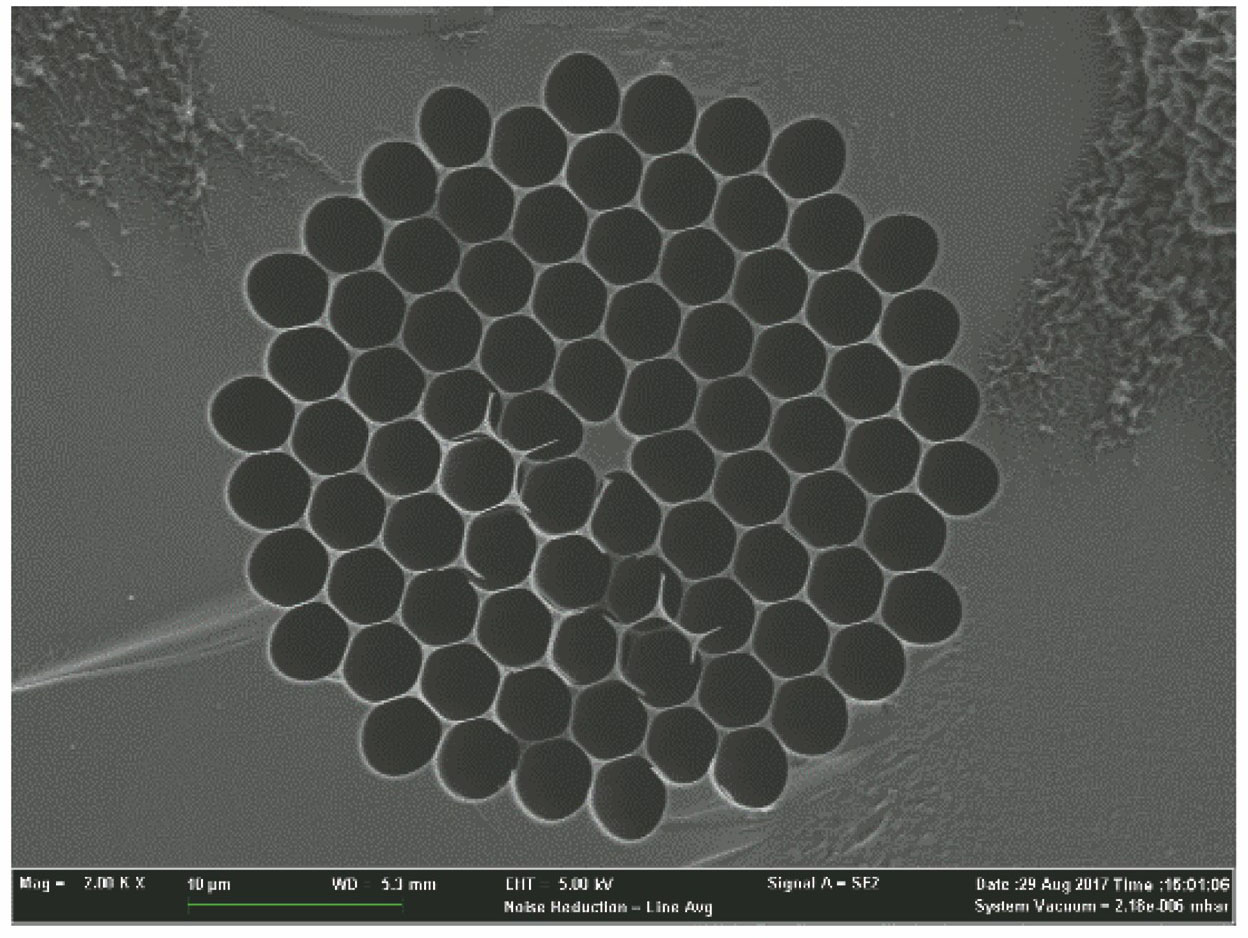 SEM image of the fabricated PCF