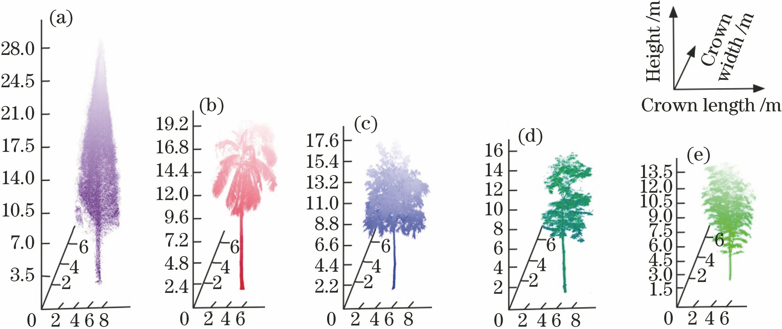 Scanned point clouds of sample trees. (a) Metasequoia; (b) palm; (c) spaindus; (d) rubber tree; (e) bamboo