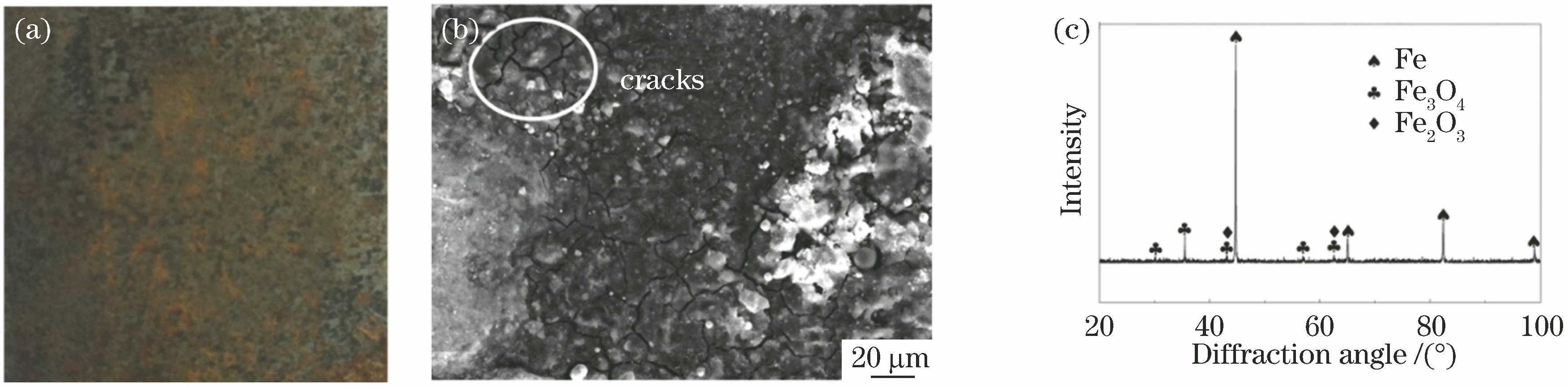 Morphology and composition analysis of rusting layer. (a) Macro morphology; (b) SEM image; (c) X-ray diffraction peak
