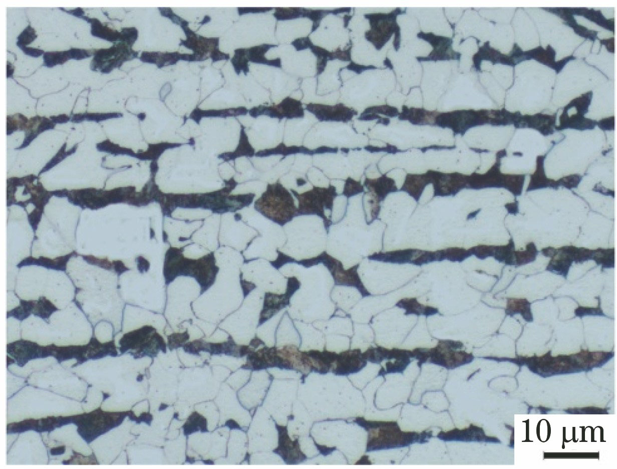 Optical microstructure of BM