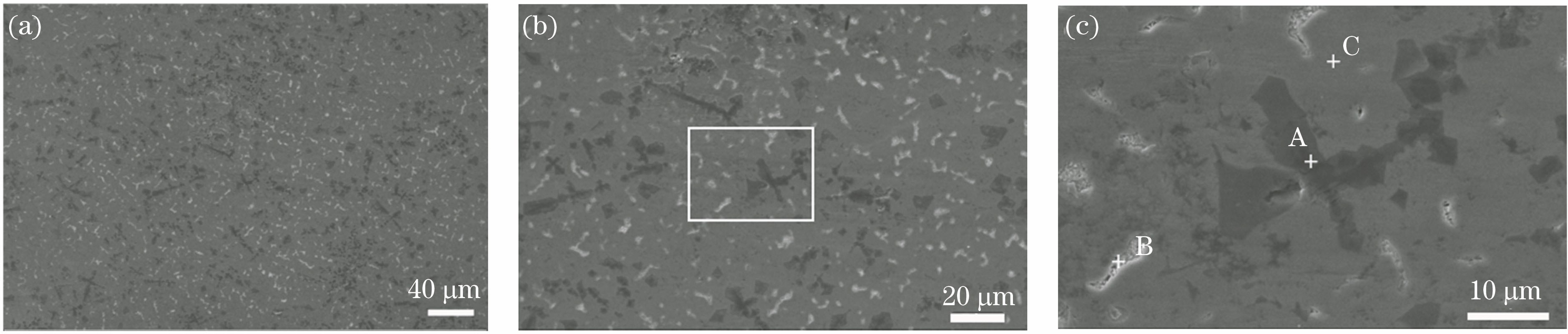 SEM images of typical microstructure of laser-melting-deposited composite. (a) SEM image with low magnification; (b) SEM image with high magnification; (c) local-magnified SEM image