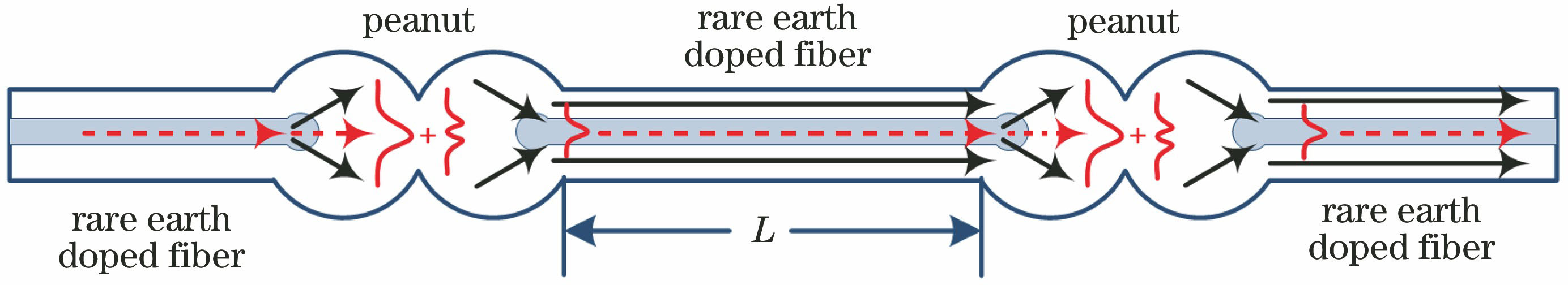 Schematic of fiber temperature sensor based on RDDFP
