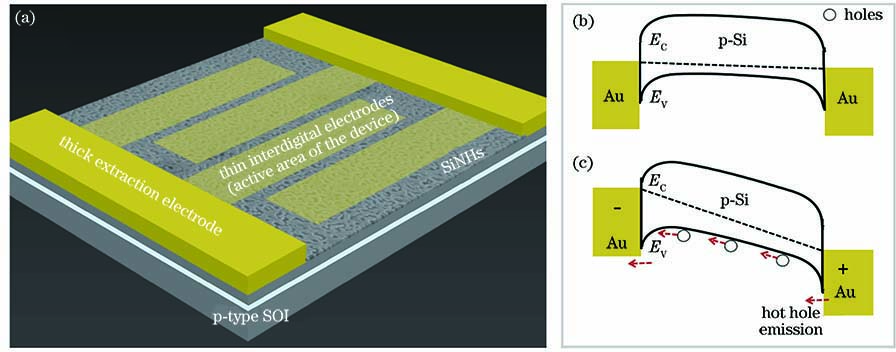 Structural and band diagrams of device. (a) Schematic of surface plasmon enhanced silicon-based near-infrared photoconductive detector; (b) band diagram of detector under zero voltage bias; (c) band diagram of detector under external voltage bias