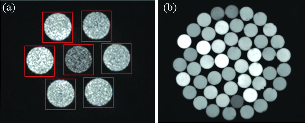 Laser spot distribution on CMOS surface, in which the round spot is the image of fiber bundle. (a) Spot image of the PCS1-7; (b) spot image of the PCS1-50