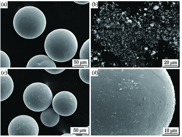 Morphologies of experimental powders under scanning electron microscope. (a) TC4 spherical powders; (b) boron powders; (c) TC4/B mixed powders under low-power scanning electron microscope; (d) TC4/B mixed powder under high-power scanning electron microscope