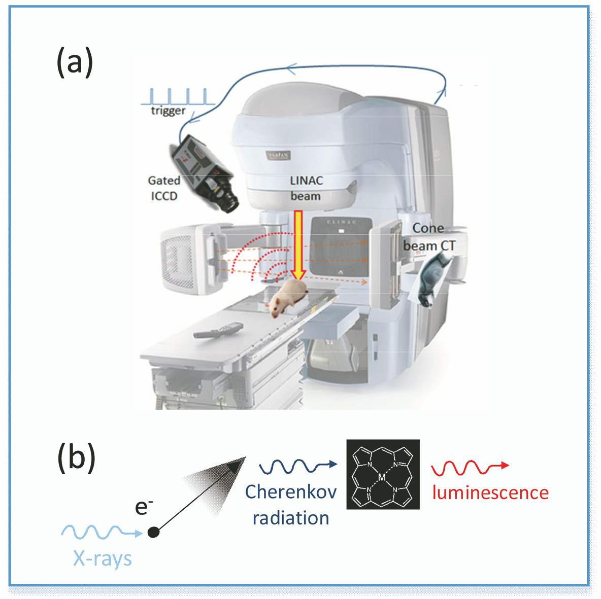 Diagram of CELSI[3]. (a) CELSI imaging instrument; (b) process of photon excitation