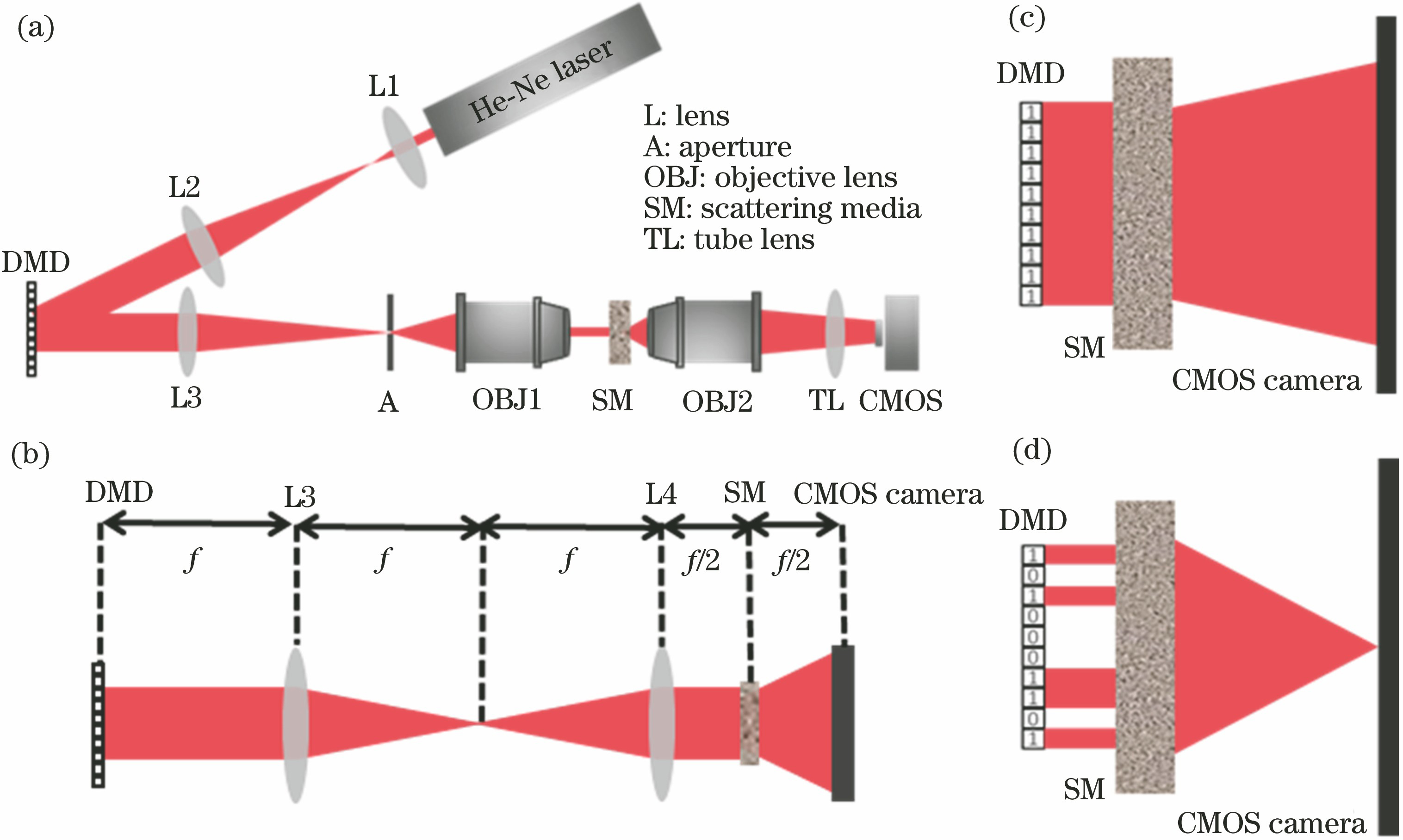 Schematic of simulation system and focusing. (a) Schematic of simulation system; (b) schematic of simulation parameters; (c) scattering through scattering medium without DMD modulation; (d) focusing through scattering medium with DMD modulation