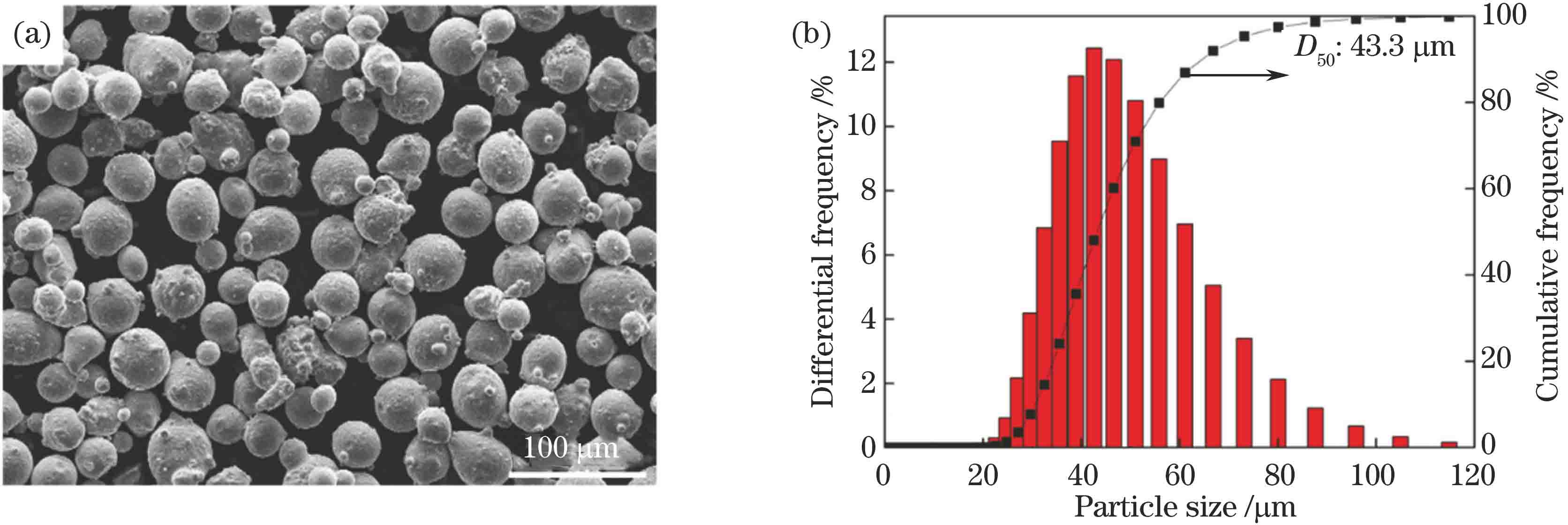 Morphology and particle size distribution of 24CrNiMo alloy steel powder. (a) Morphology; (b) particle size distribution