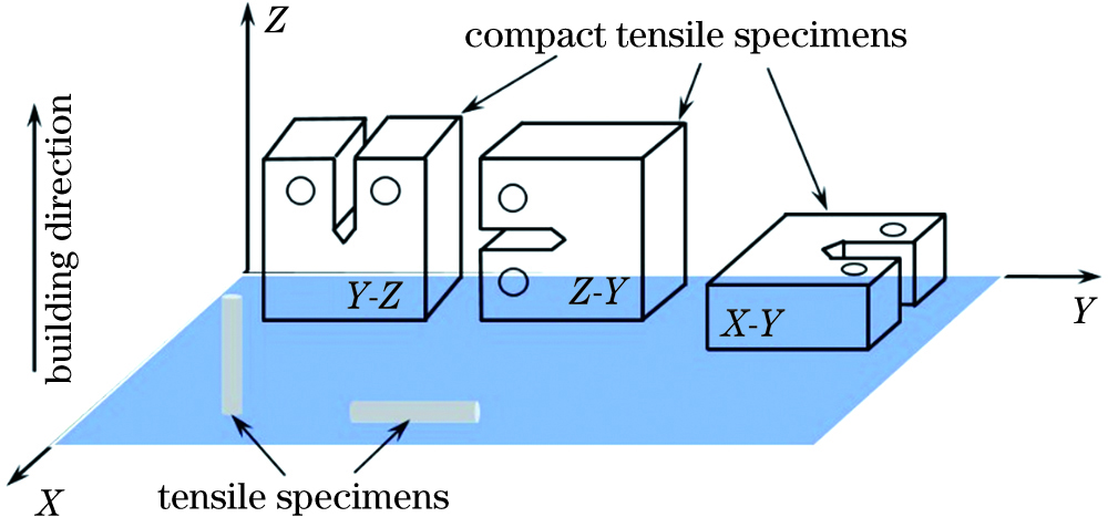 Sketch map of tensile samples and compact tensile specimens