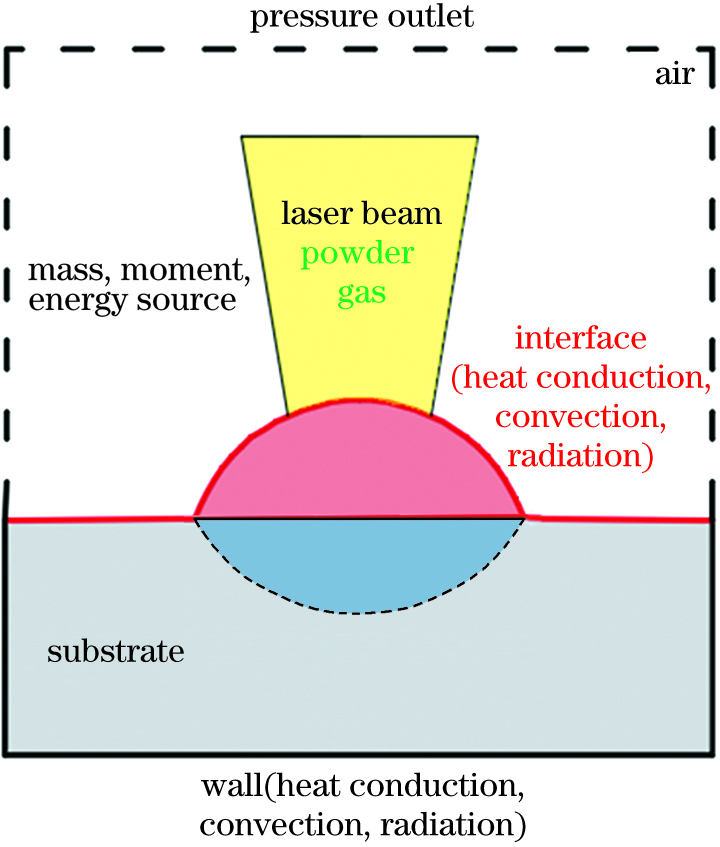 Boundary conditions of the model