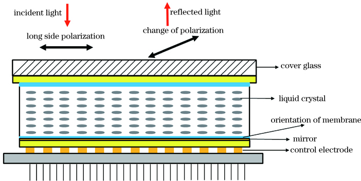 Principle diagram of reflective liquid crystal spatial light modulator