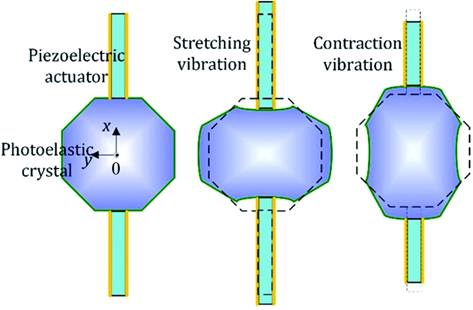 Vibration model of PEM