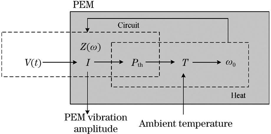 Dynamic heat exchange model of PEM