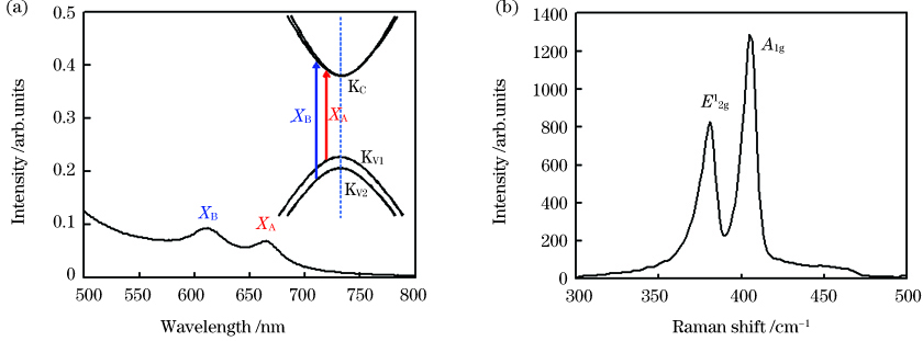 Static spectroscopic characterization of multilayer MoS2. (a) Static absorption spectrum of multilayer MoS2 collected at 77K with schematic illustration of energy levels at K valley of multilayer MoS2 shown in inset; (b) Raman spectrum of multilayer MoS2 excited by 532 nm laser