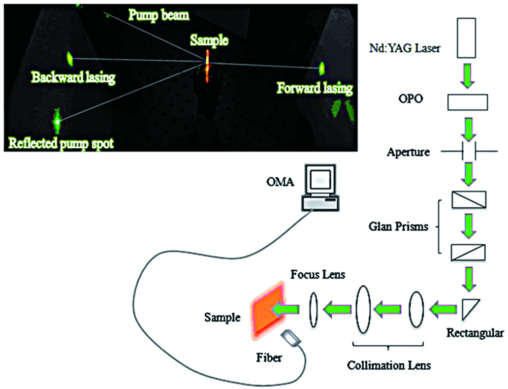 Experimental setup for random laser pumping and detection device of DD-NLC [36]