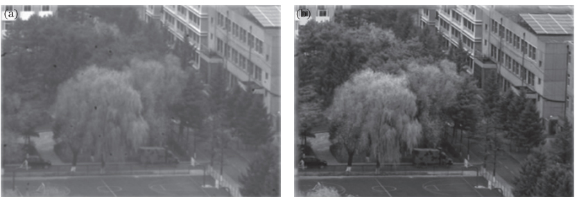 Polarization imaging test result. (a) Visible light intensity image; (b) polarization image