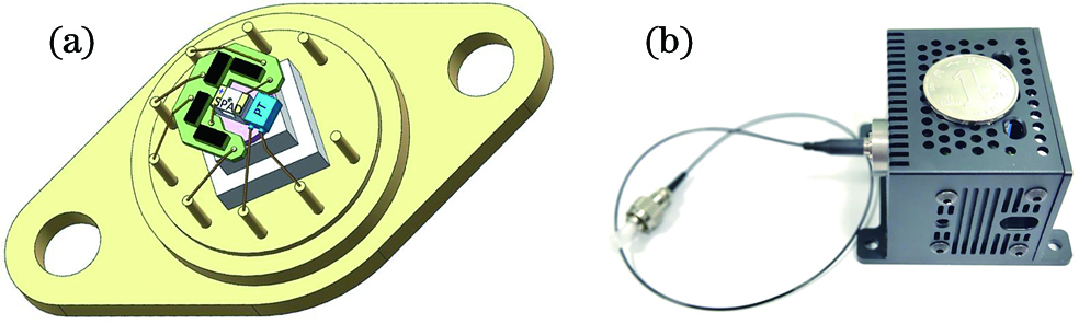 SPAD assembly with integrated cooling and balancing capacitor. (a) Internal structure; (b) physical picture of micro SPD