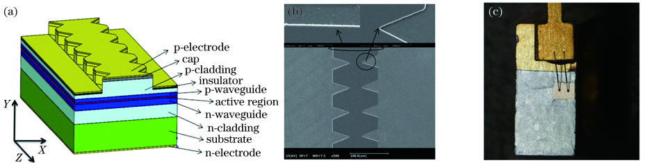 Lateral microstructure wide-ridge waveguide semiconductor laser. (a) Device structure diagram; (b) SEM image of lateral microstructure wide-ridge waveguide; (c) packaged device diagram