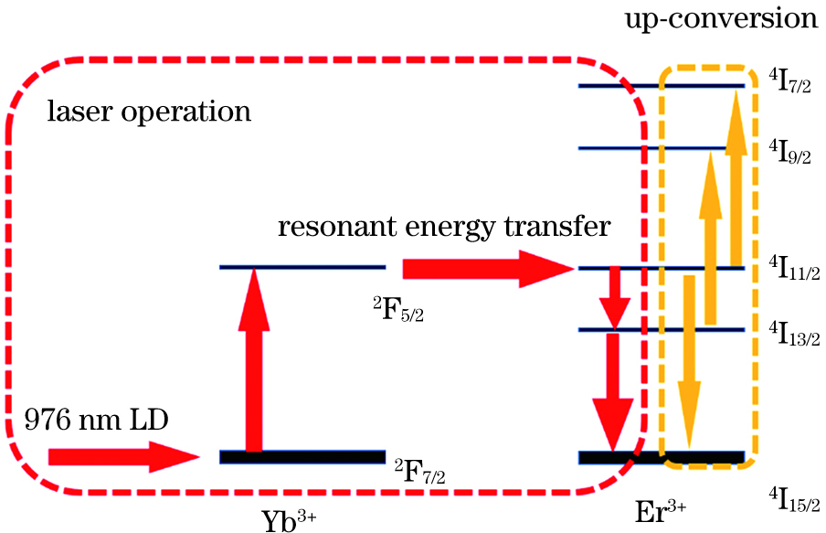 Diagram of laser operating mechanism of energy level structure in Er, Yb∶YAB crystal