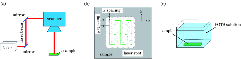 Process schematic of the highly efficient laser-based micro/nanostructuring superhydrophobic surface. (a) Laser surface treatment; (b) scanning trajectory; (c) chemical immersion treatment