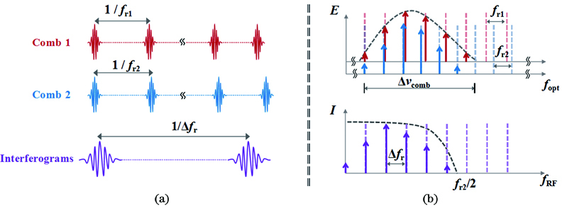 Time and frequency domain characteristics of dual-comb system. (a) Principle of linear optical sampling in time domain; (b) principle of multimode heterodyne interference in frequency domain