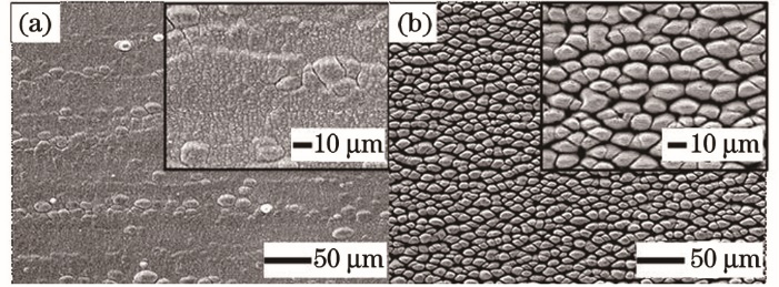 Stainless steel micro-nano structure surface via femtosecond laser. (a) Laser energy density is 0.4 J/cm2; (b) laser energy density is 1.2 J/cm2
