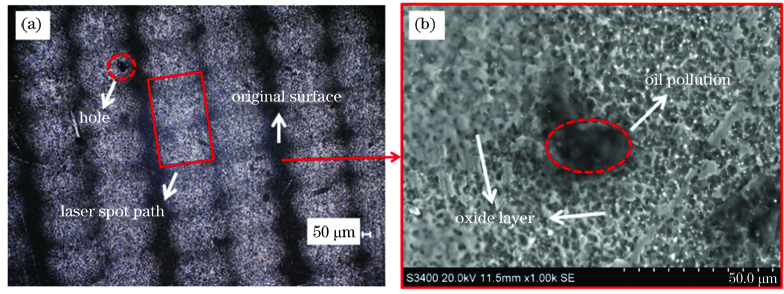 Surface morphologies of TA15 titanium alloy before and after laser cleaning. (a) Cleaned surface morphology and original surface morphology; (b) SEM image of original surface