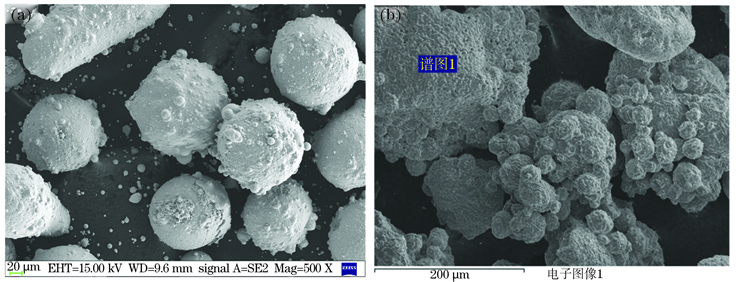 Micromorphology of different powders. (a) H13; (b) NiCr-Cr3C2