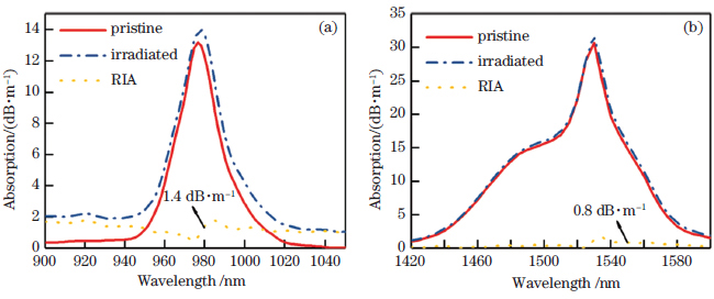 Absorption spectra and corresponding radiation-induced attenuation of pristine and irradiated radiation-resistant erbium-doped fiber. (a)Pump band; (b)signal band