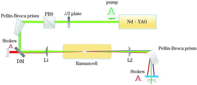 Schematic diagram of stimulated Raman scattering experimental setup